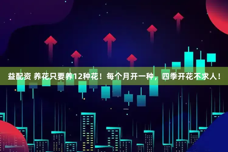 益配资 养花只要养12种花！每个月开一种，四季开花不求人！