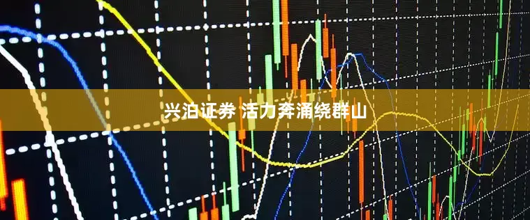 兴泊证券 活力奔涌绕群山
