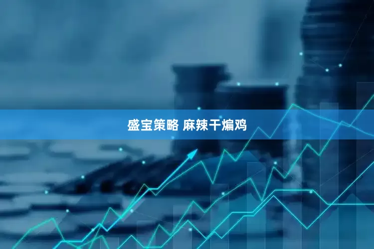 盛宝策略 麻辣干煸鸡