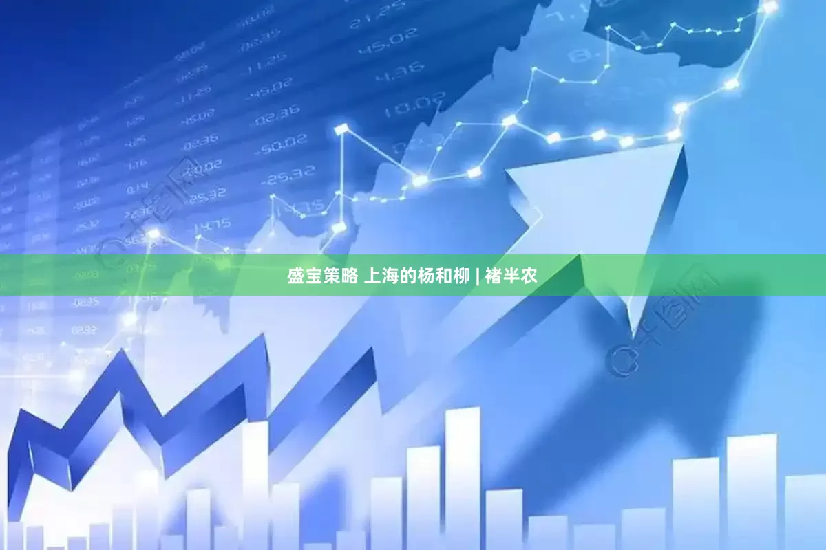 盛宝策略 上海的杨和柳 | 褚半农